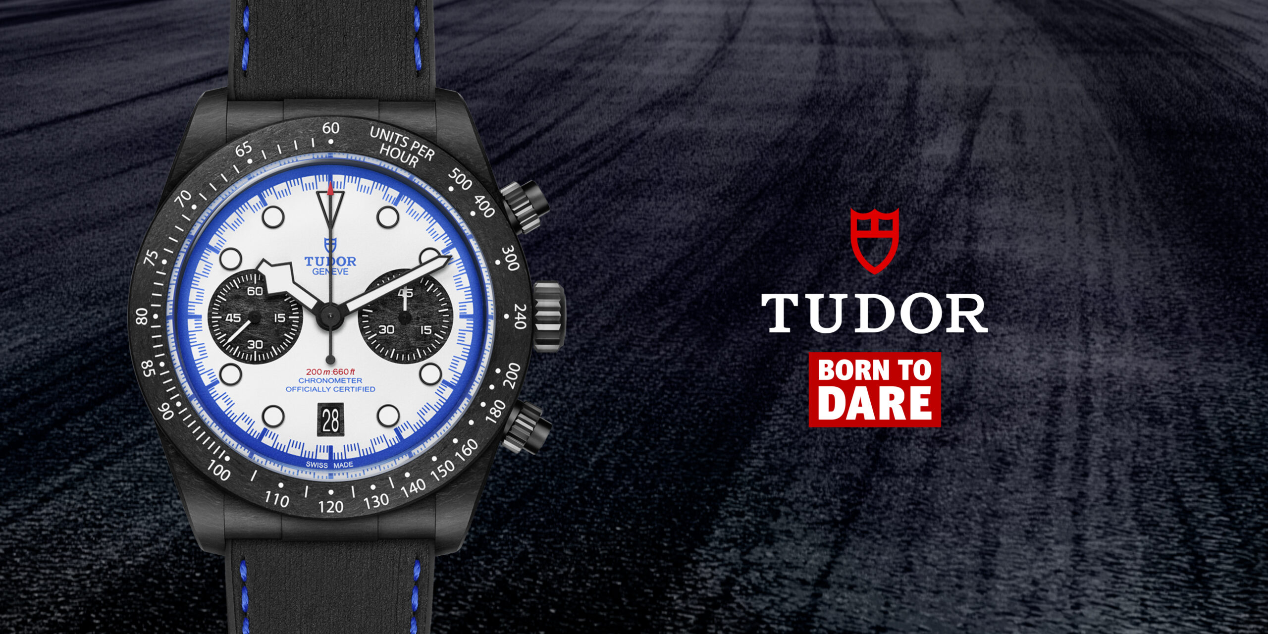 Tudor-banner
